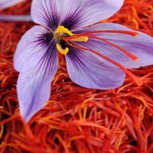 kashmir saffron